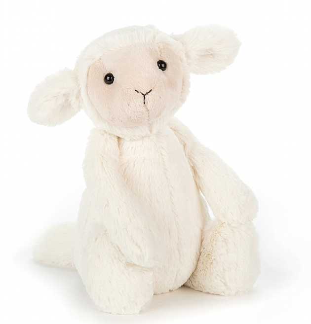 Bashful Lamb