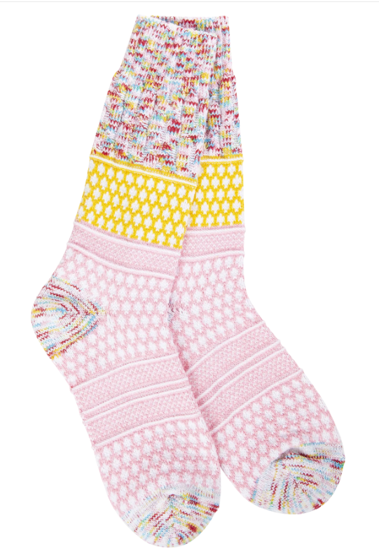 Whimsical Multi