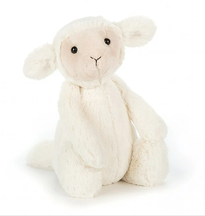 Bashful Lamb