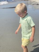Y Crew Shorts
