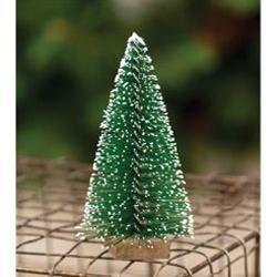 Snowy Bottlebrush tree