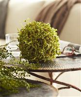 Moss Orb