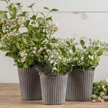 Ribbed Flower Pots