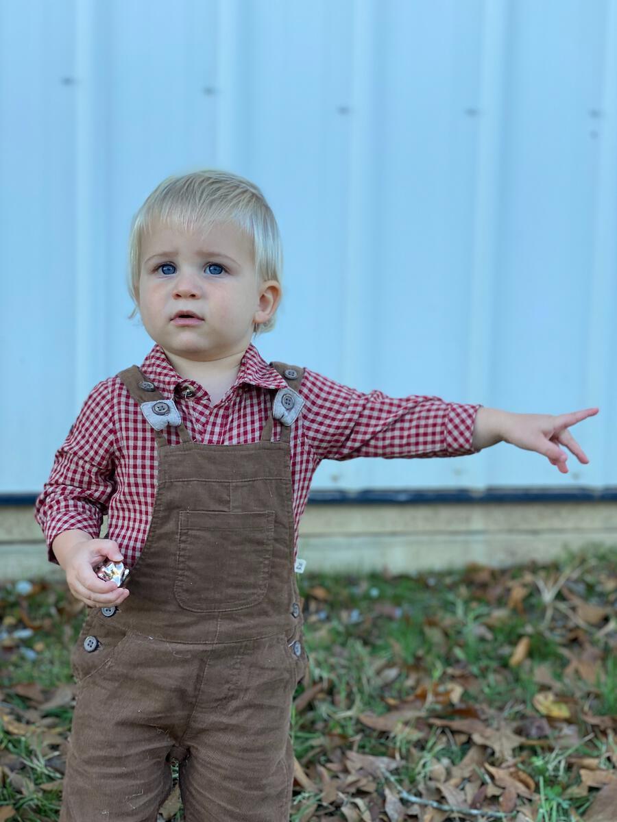 Harrison cord overalls Brown