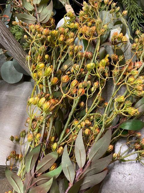 Fall bud floral