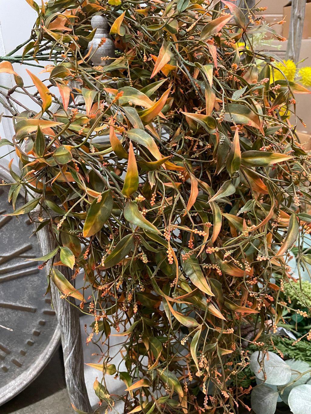 Orange/green hanging vine